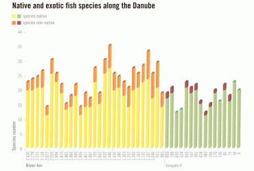 graph_p18_fish_species.gif