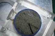 Core sample.jpg
