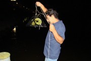 DSC00643v2.jpg