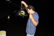 DSC00643v2.jpg