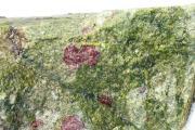 HILDEBRANDIA_RIVULARIS_ON STONE_RED_ALGAE.JPG