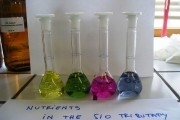 Nutrients in the Sio tributary - no pollution - no colours.jpg