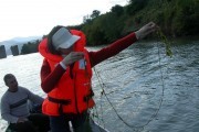 Photo_7_Florentina Vintila_macrophytes_sampling.JPG
