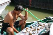 Refreshment during preparation of mussel samples.jpg