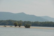 bar1.JPG